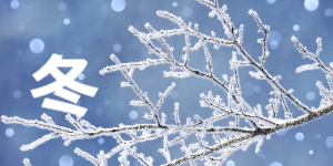 冬
