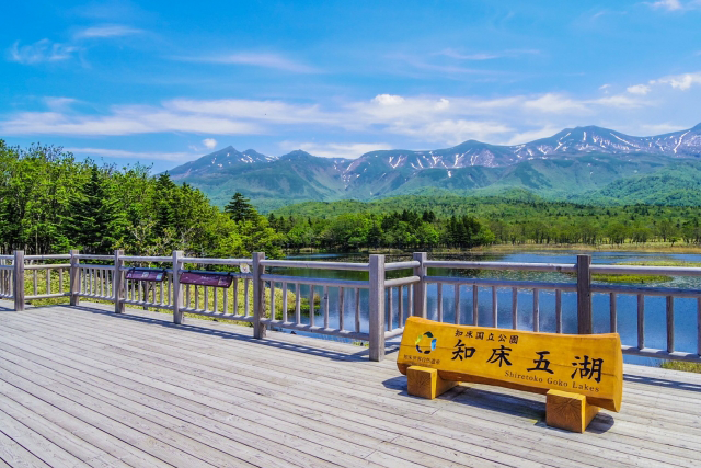 知床・網走エリア