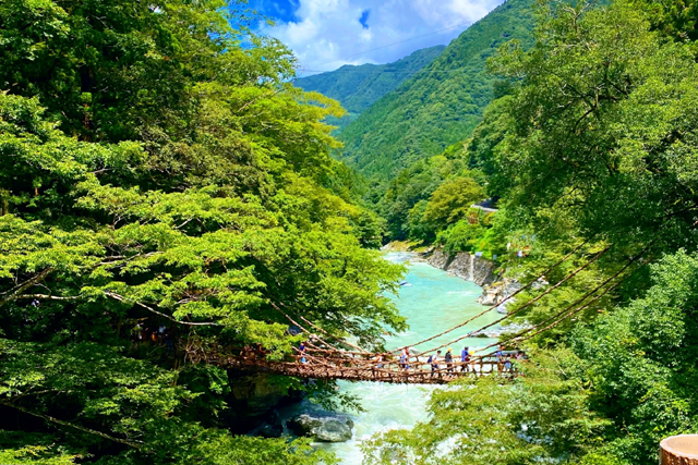 祖谷のかずら橋