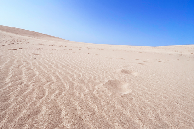 鳥取砂丘