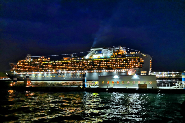 ダイヤモンドプリンセス02